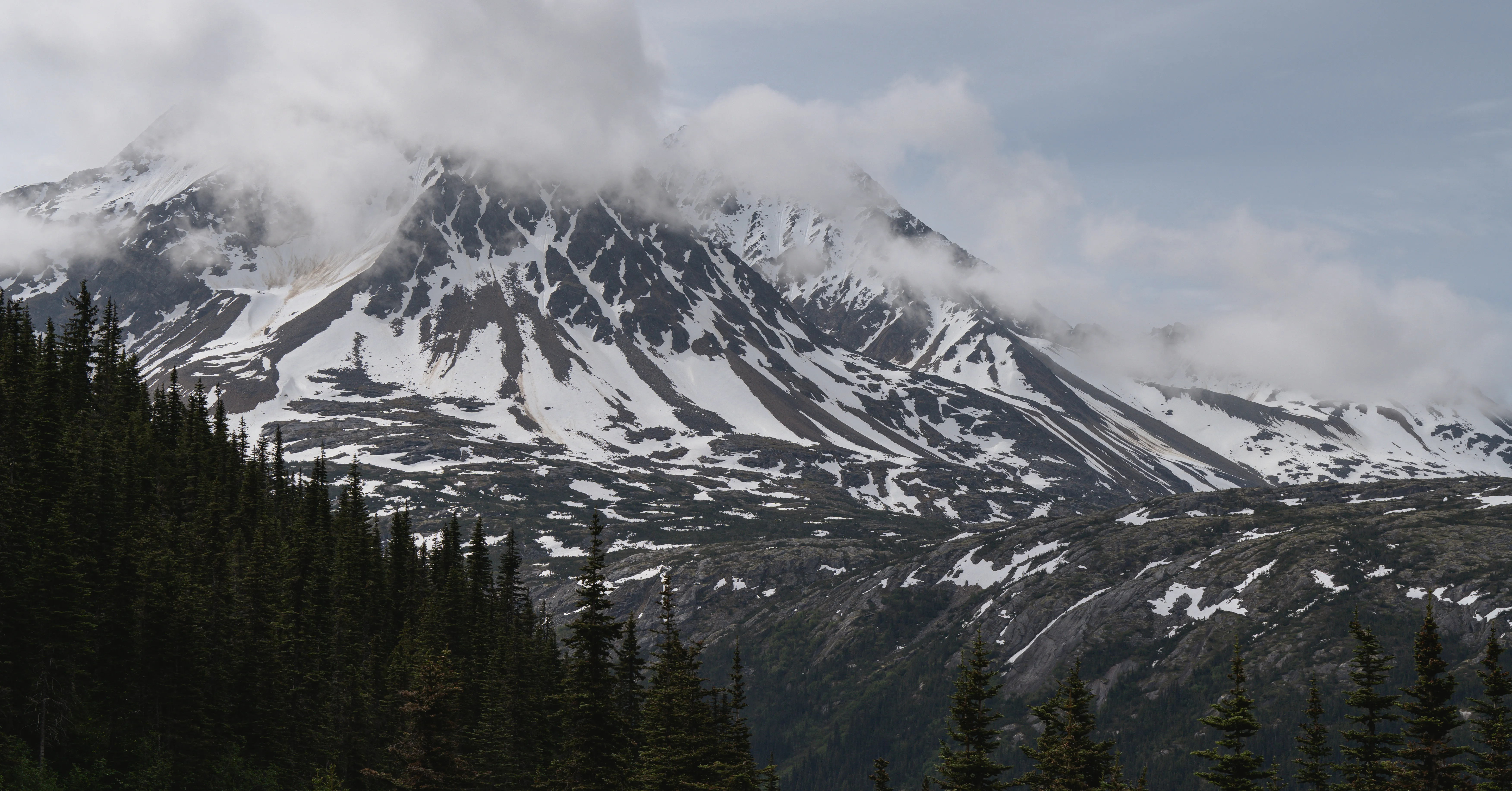 A cloud-wrapped, snow-streaked peak rising above a spruce forest near Skagway