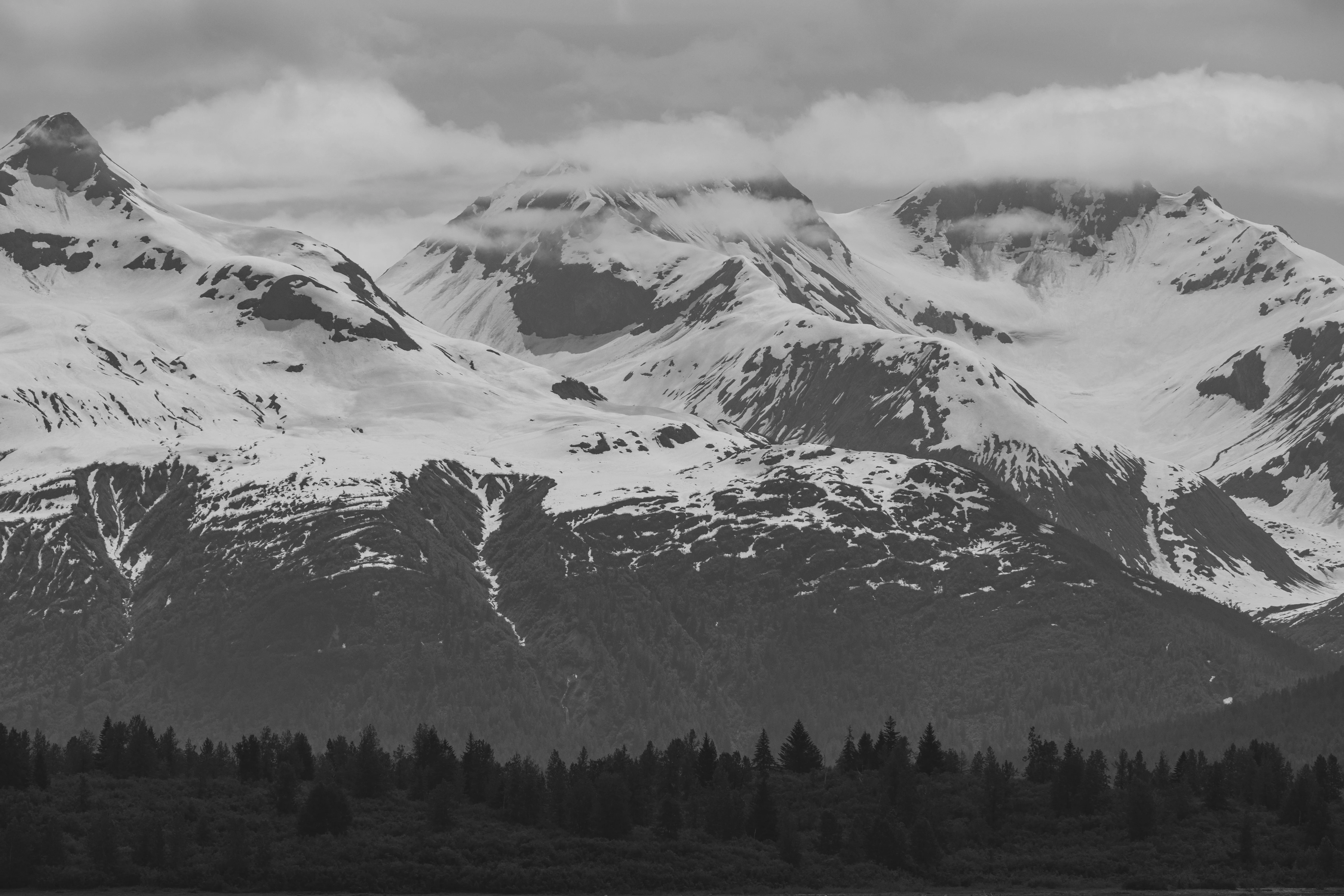 Black-and-white view of a snow-covered mountain range above a dark spruce treeline